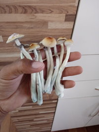 20191226_090502.jpg
