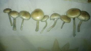 20200108_214327.jpg