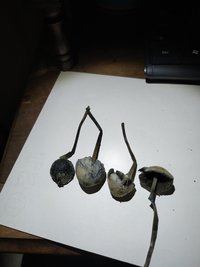 IMG_20200110_192630.jpg