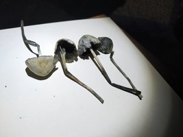 IMG_20200110_192644.jpg