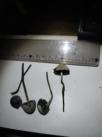 IMG_20200110_192801.jpg