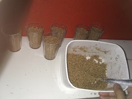 IMG_20200110_231128864.jpg