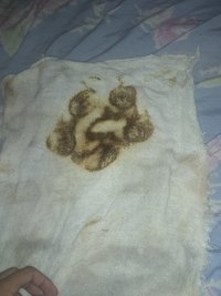 IMG_20200111_013604335.jpg