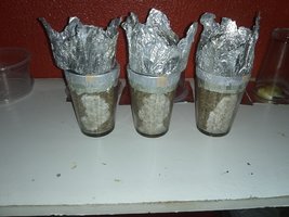 IMG_20200118_000450613.jpg