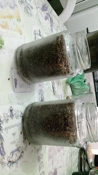 IMG-20200105-WA0021.jpg