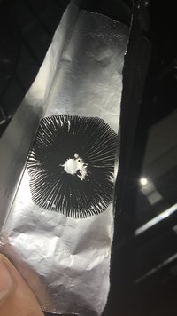 38AEFC4D-8E60-4E62-BF9A-E2D235D6E349.jpg