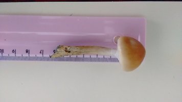 IMG_20200128_141755030.jpg
