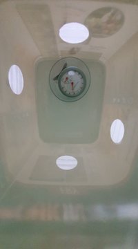 83643509_488592798701231_89366634363355136_n.jpg