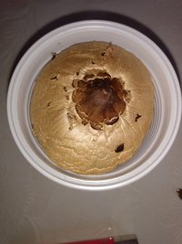 IMG_20200207_141716586.jpg
