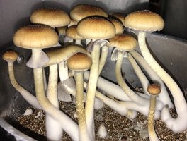 3A5BD973-B577-4F38-9539-D4CAA84A5984.jpg