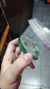 IMG_20191110_185058_430.jpg