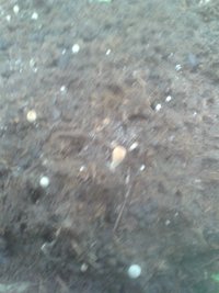 20200209_115042.jpg