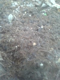 20200209_115059.jpg