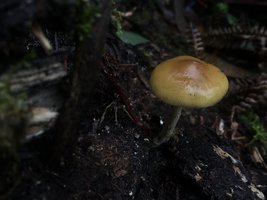 IMG_5028.JPG