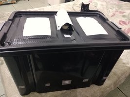 IMG_20200213_095208.jpg