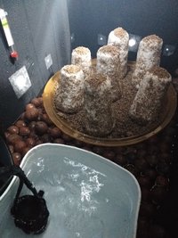 IMG_20200216_182728.jpg