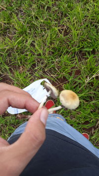 IMG-20200302-WA0080.jpeg