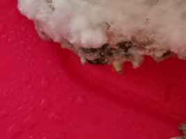 IMG_20200305_112047.jpg