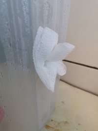 IMG_20200305_122620.jpg