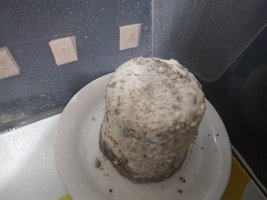 IMG_20200305_183351.jpg