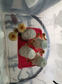 IMG_20200308_115924.jpg