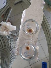 IMG_20200308_131140.jpg