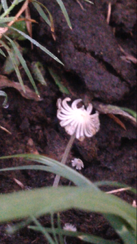 IMG_3915.PNG