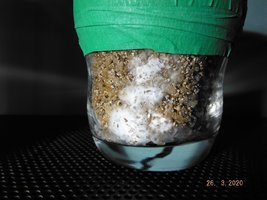 DSCF4115.JPG