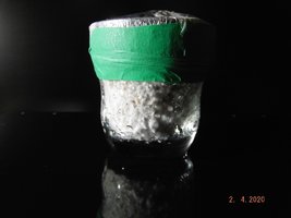 DSCF4121.JPG