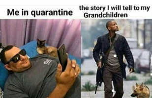 1586101860816.png