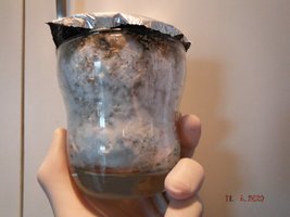 DSCF4128.JPG