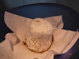 DSCF4129.JPG