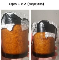 copos1e2contam.jpg