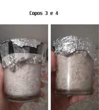 copos3e4.png