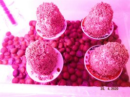 DSCF4173.JPG