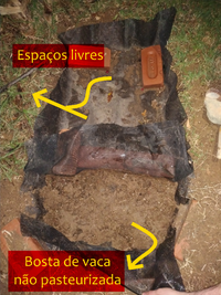 Cafofo - Copia.png