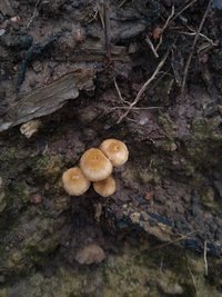 IMG_20200428_102910904.jpg