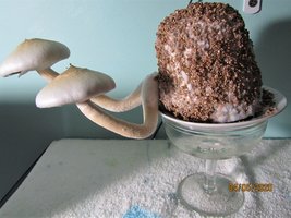 IMG_7847.JPG