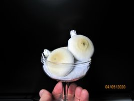 IMG_7848.JPG