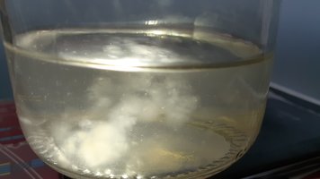 20200508_134551.jpg