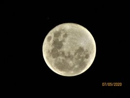 IMG_7874.JPG