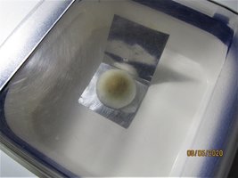 IMG_7876.JPG