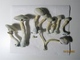 7.JPG