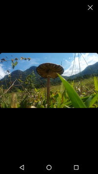 Screenshot_20200526-114909.png