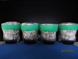 IMG_7932.JPG