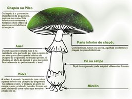 86e05960b8c85c676a94f0c0edd839b9f1893fee_hq.jpg