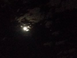 IMG_20200603_014823096.jpg