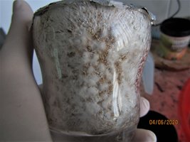 IMG_7946.JPG