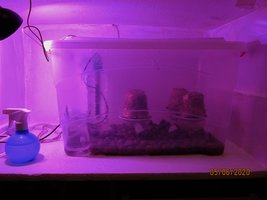 IMG_7948.JPG