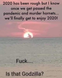 1591663649899.png